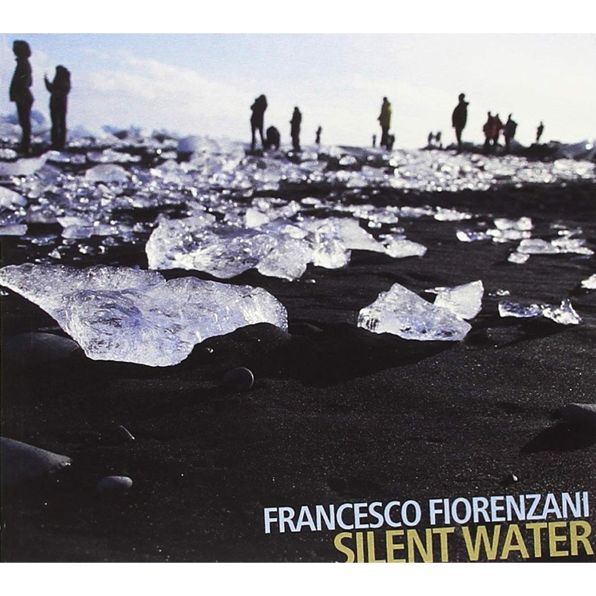 Francesco Fiorenzani - Silent Water