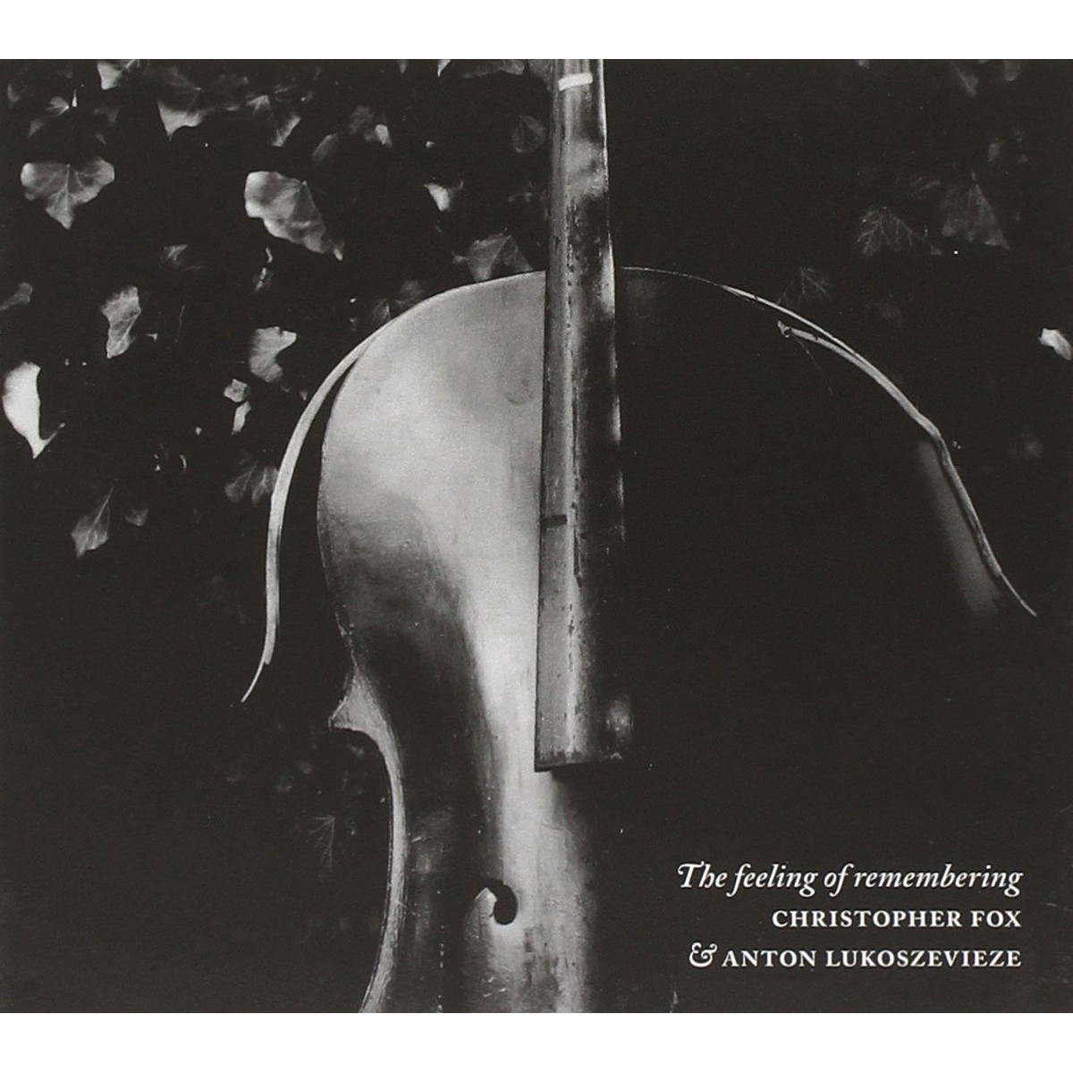Christopher Fox & Anton Lukosz - Feeling Of Remembering