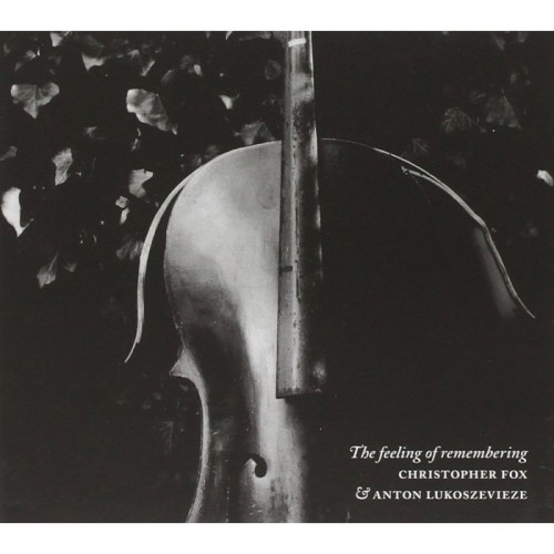 Christopher Fox & Anton Lukosz - Feeling Of Remembering