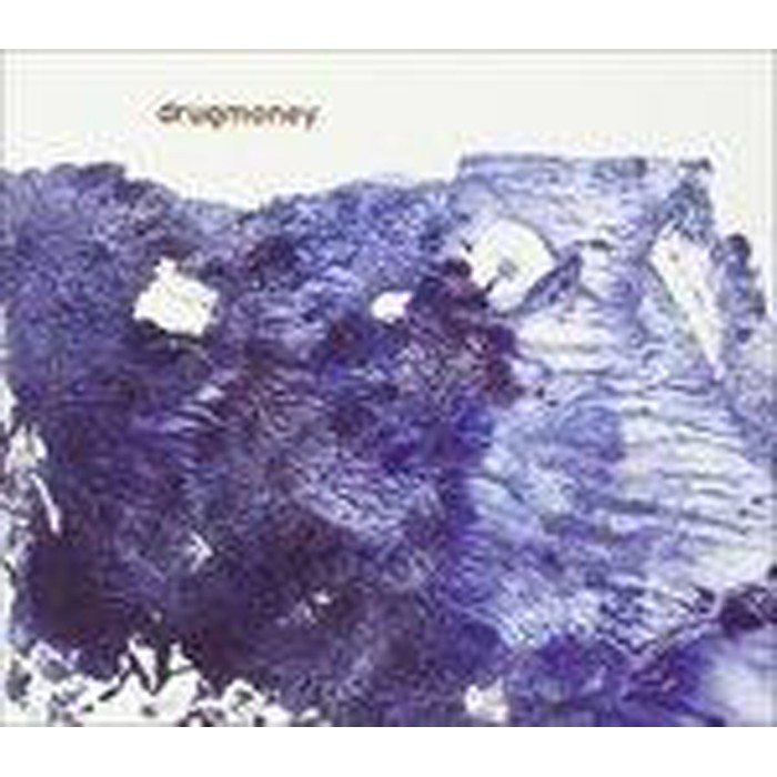 Brent Gutzeit - Drug Money