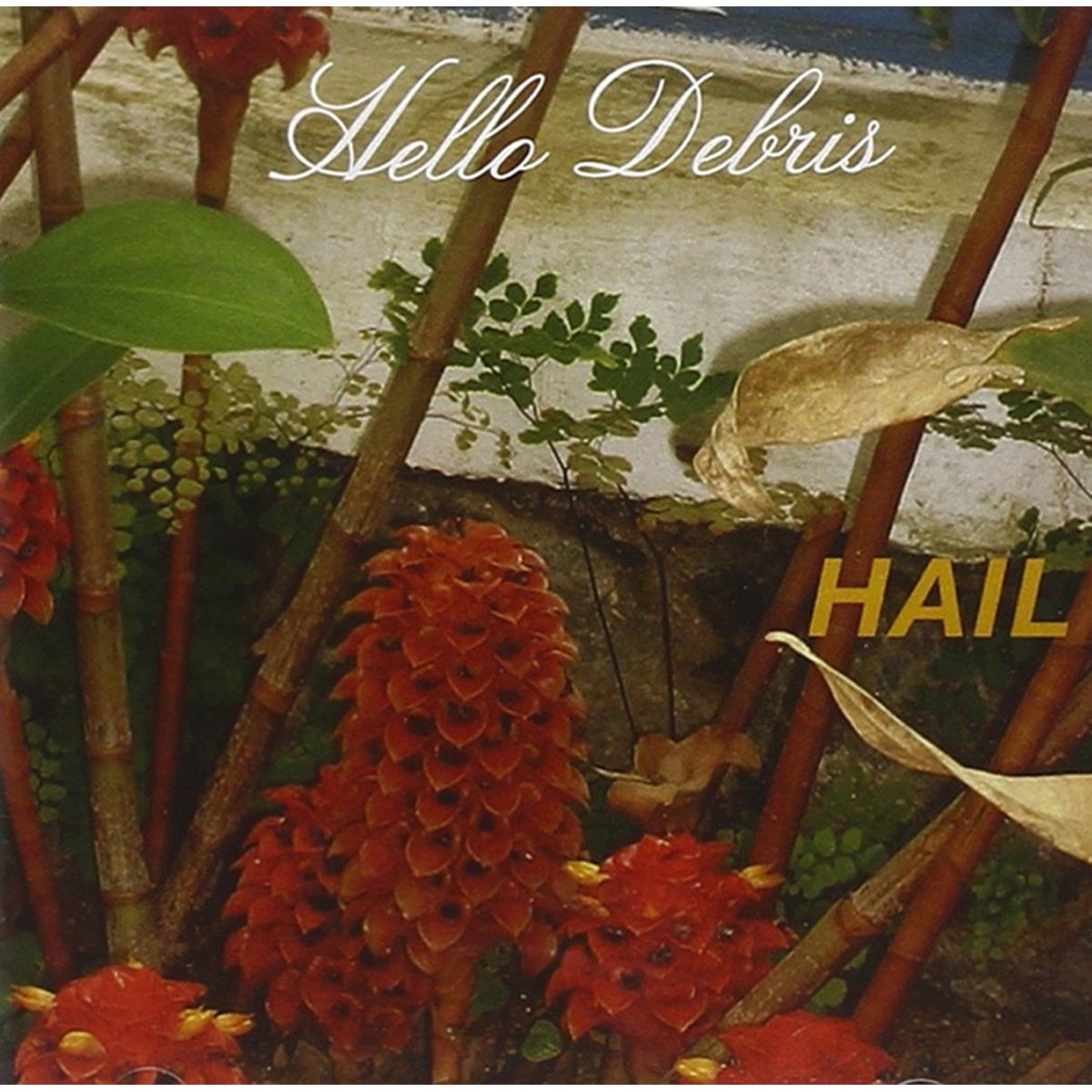 Hail - Hello Debris