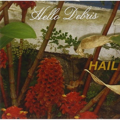 Hail - Hello Debris