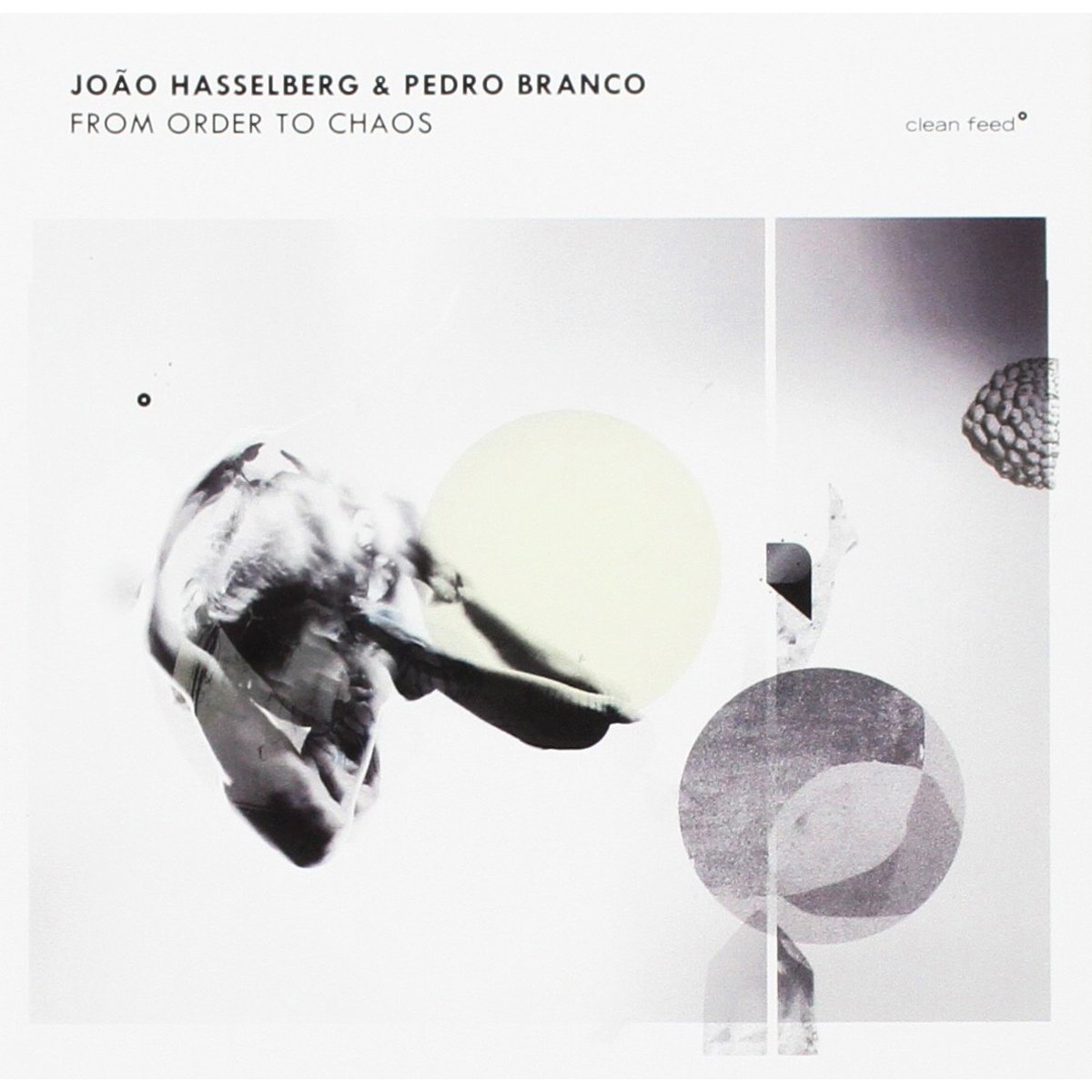 João Hasselberg & Pedro Branco - From Order To Chaos