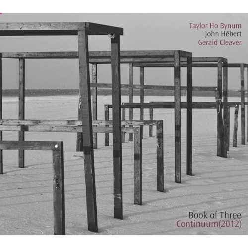 Taylor Ho Bynum & John Hebert & Gerald Cleaver - Continuum