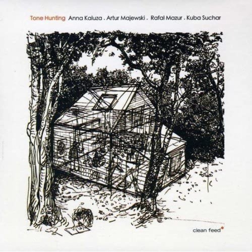 Anna Kaluza & Artur Majewski & Rafal Mazur & Kuba Suchar - Tone Hunting