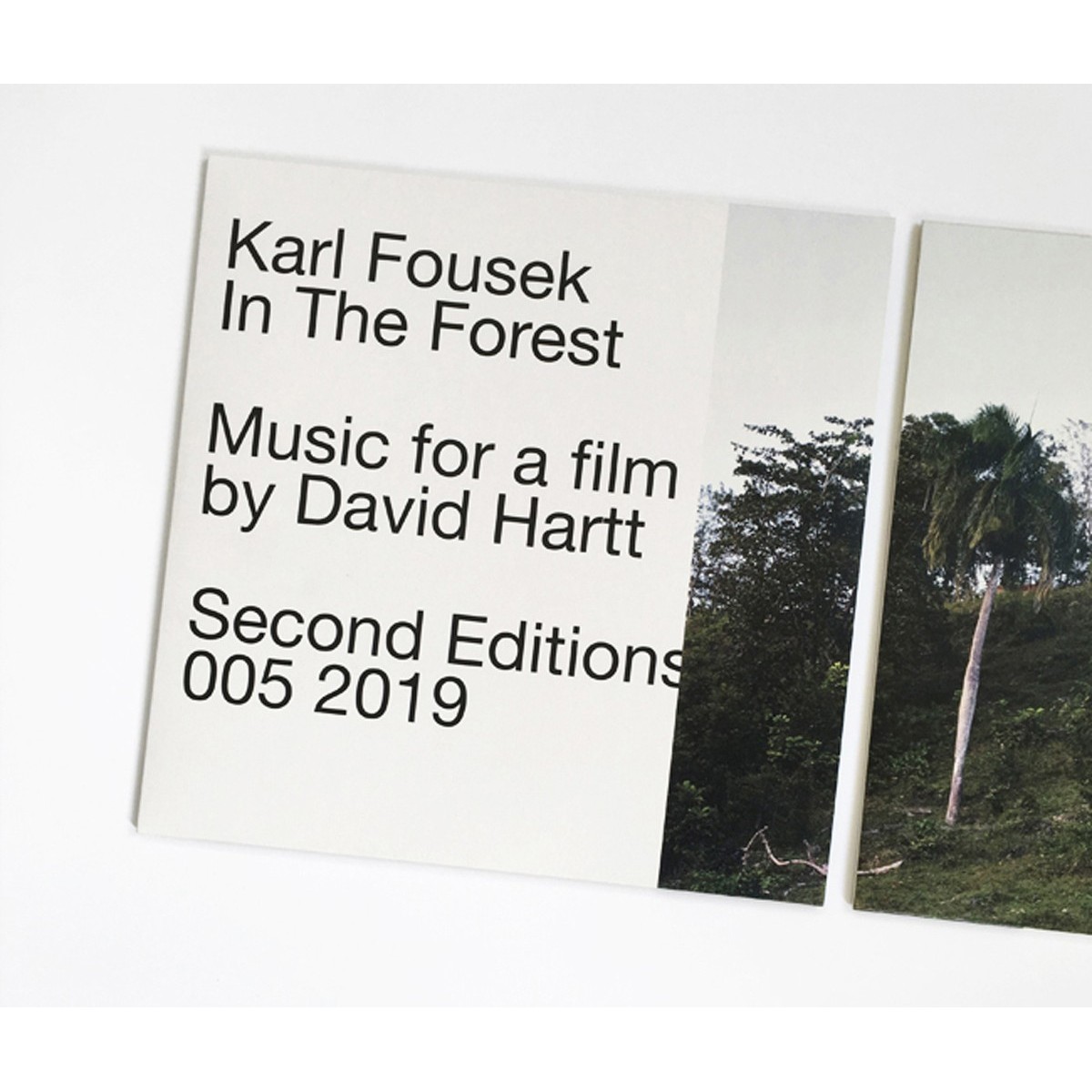 Karl Fousek - In The Forest