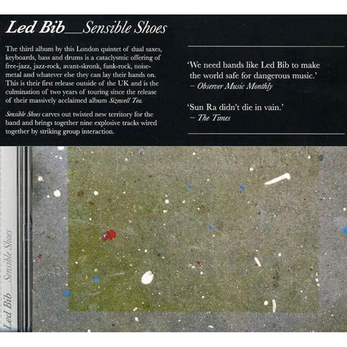 Led Bib - Sensible Shoes