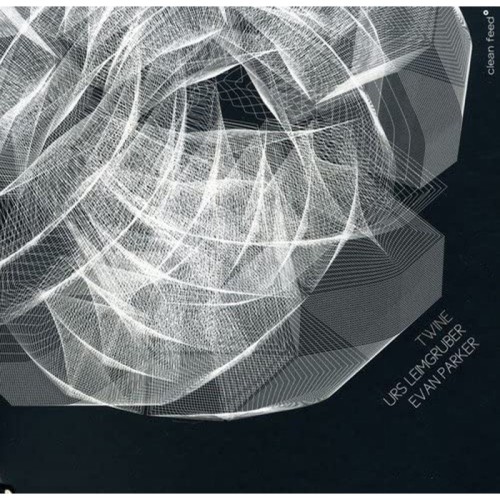Urs Leimgruber & Evan Parker - Twine