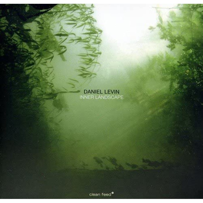 Daniel Levin - Inner Landscape