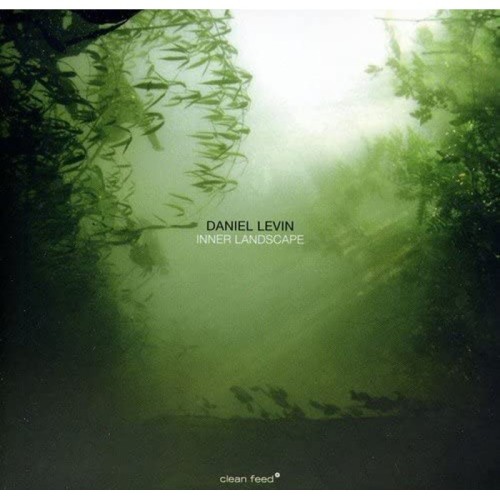 Daniel Levin - Inner Landscape