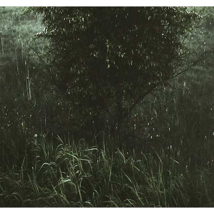 Lloyd Turner - Hints