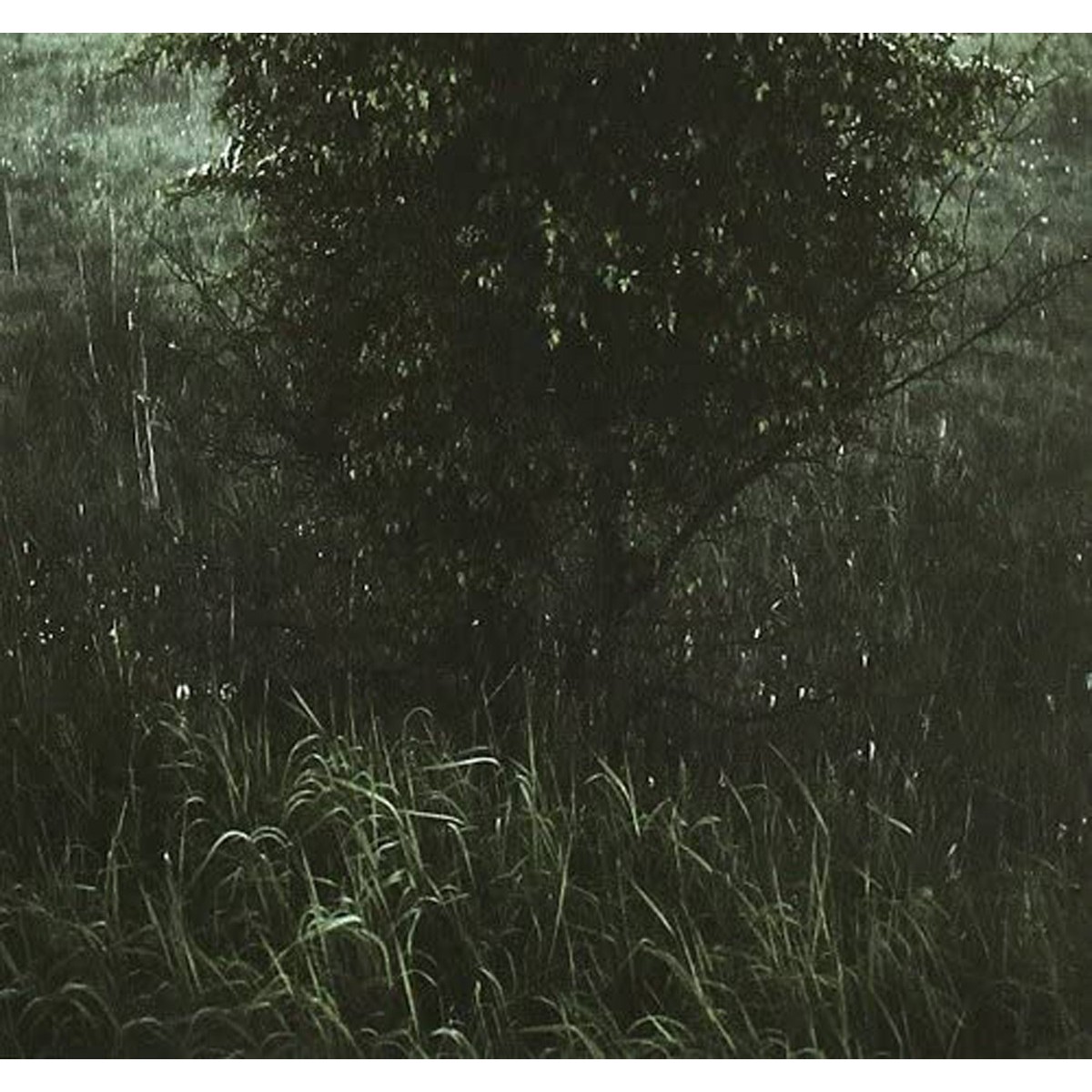 Lloyd Turner - Hints