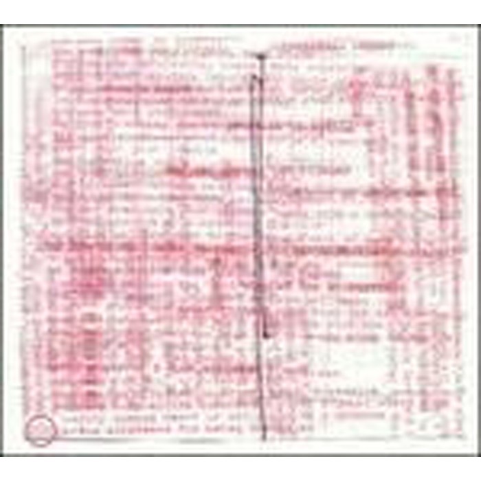 Man's Best Friend - New Human Is Illegal