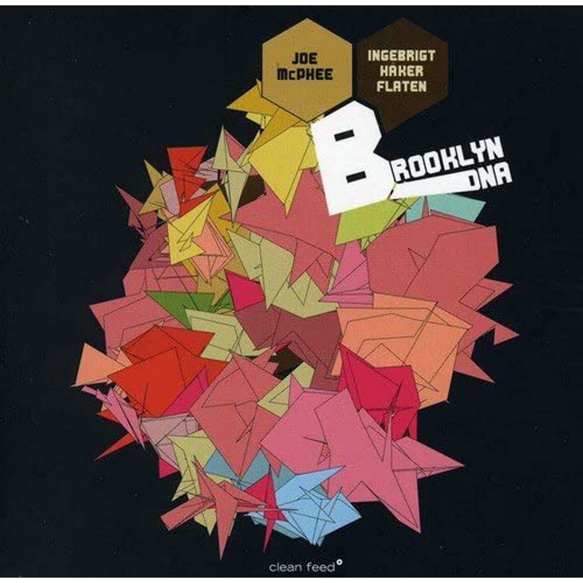 Joe McPhee & Ingebrigt Haker Flaten - Brooklyn Dna