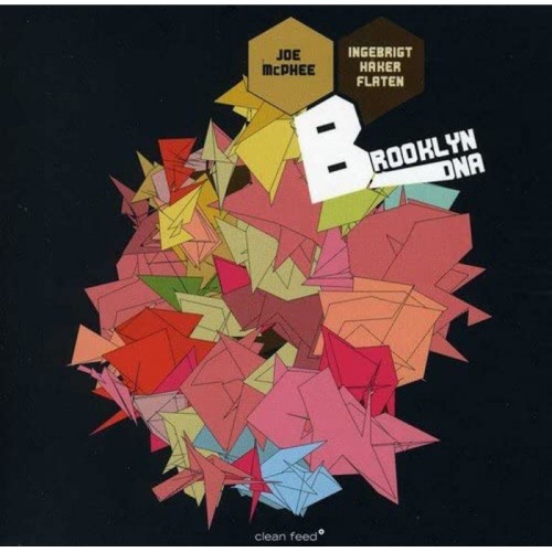 Joe McPhee & Ingebrigt Haker Flaten - Brooklyn Dna