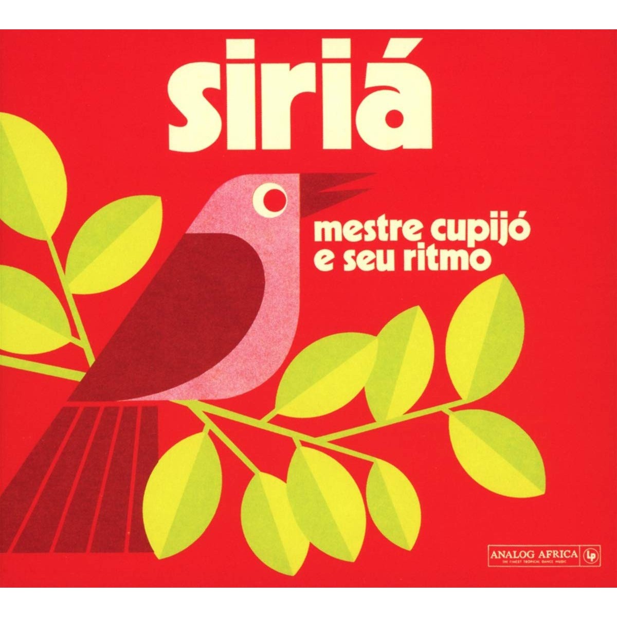 Mestre Cupijo - Siria
