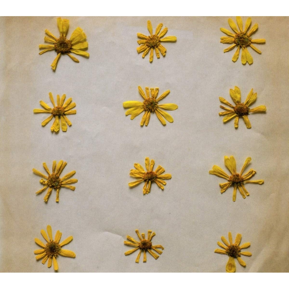 Molochs - Flowers In The Spring