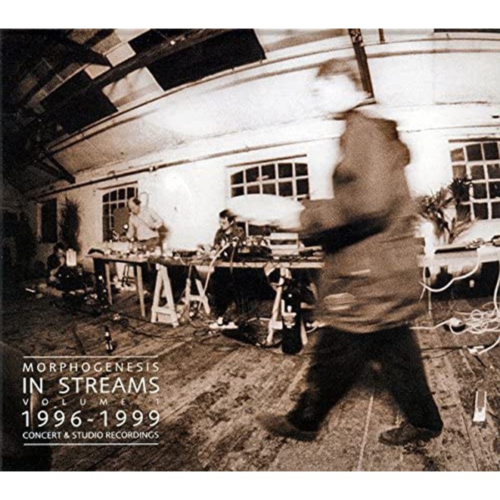 Morphogenesis - In Streams - Volume 1