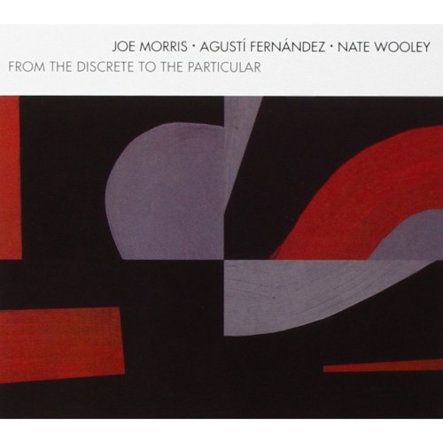 Joe Morris & Agusti Fernandez & Nate Wooley - From The Discrete To The Particular