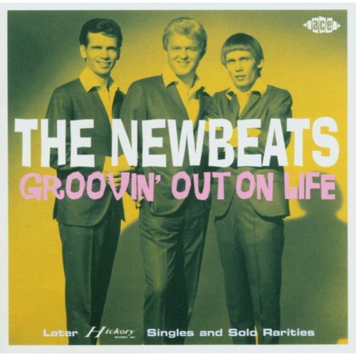 Newbeats - Groovin' Out On Life