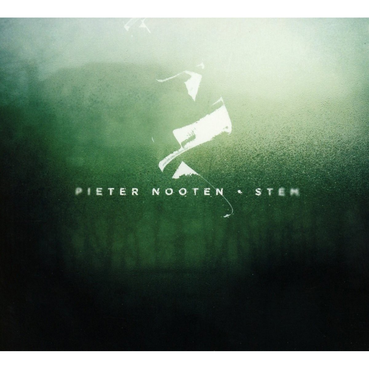 Pieter Nooten - Stem