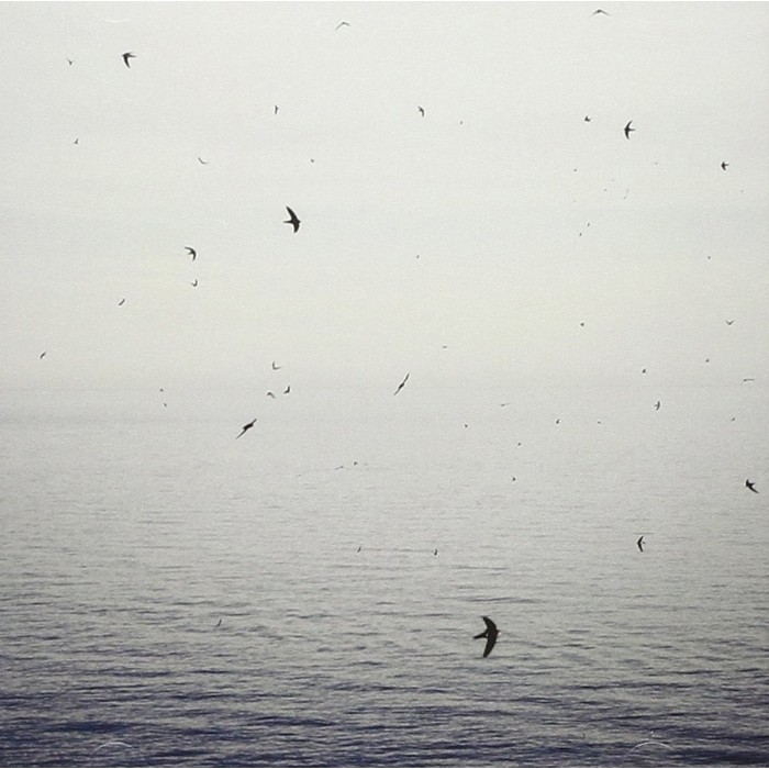 On - Your Naked Ghost Comes Back At Night