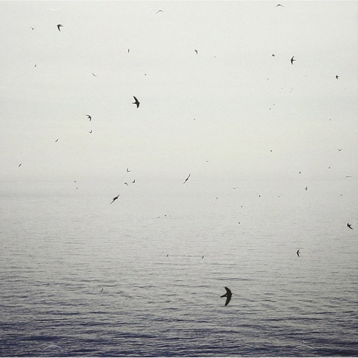 On - Your Naked Ghost Comes Back At Night