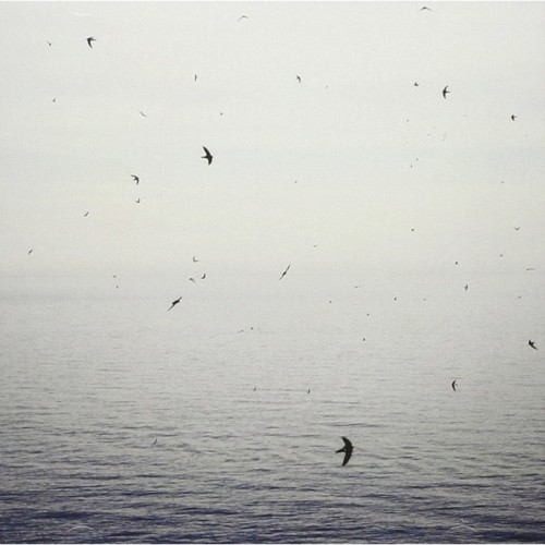 On - Your Naked Ghost Comes Back At Night