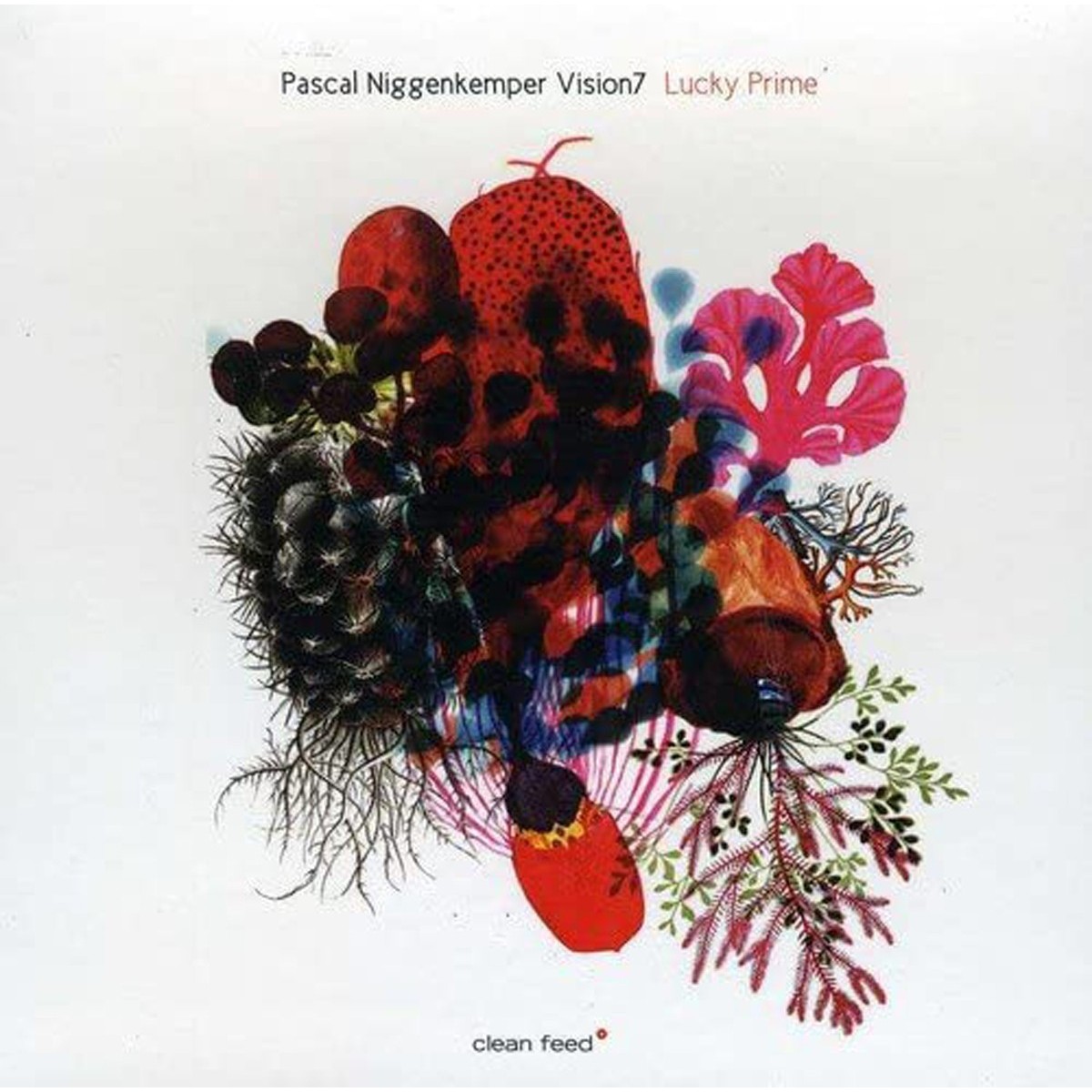 Pascal Niggenkemper Vision7 - Lucky Prime