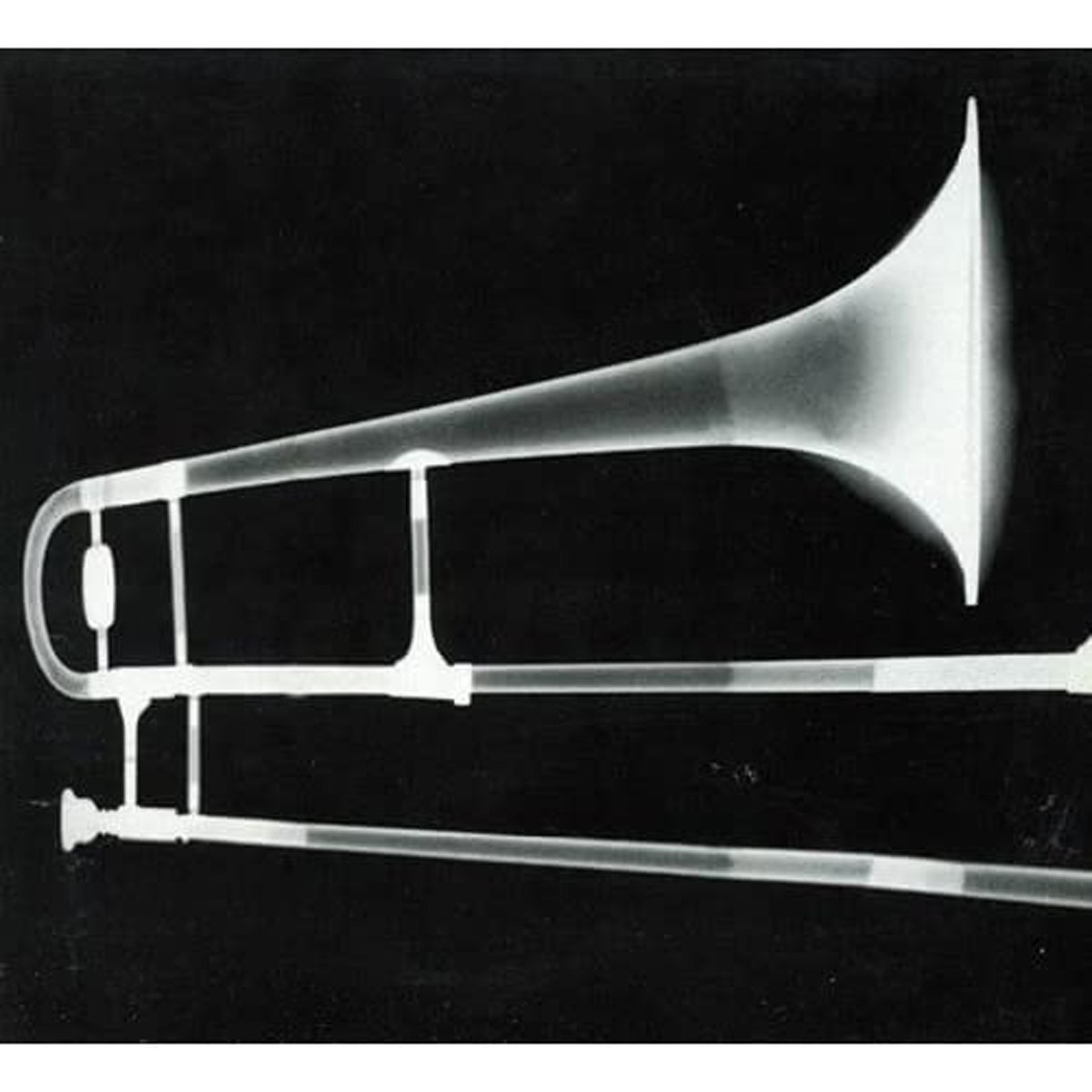 Gianluca Petrella - X-Ray