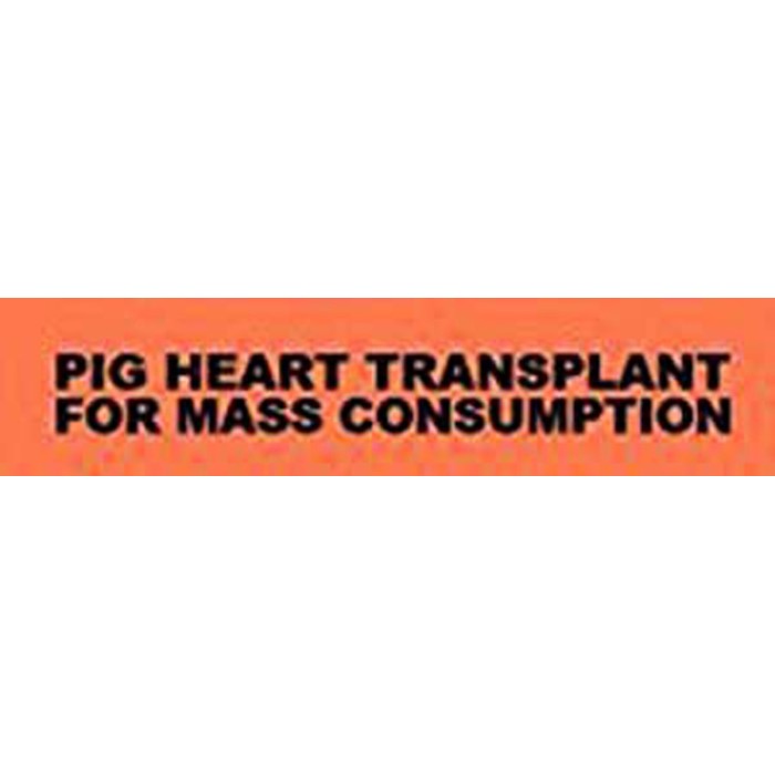 Pig Heart Transplant - For Mass Consumption