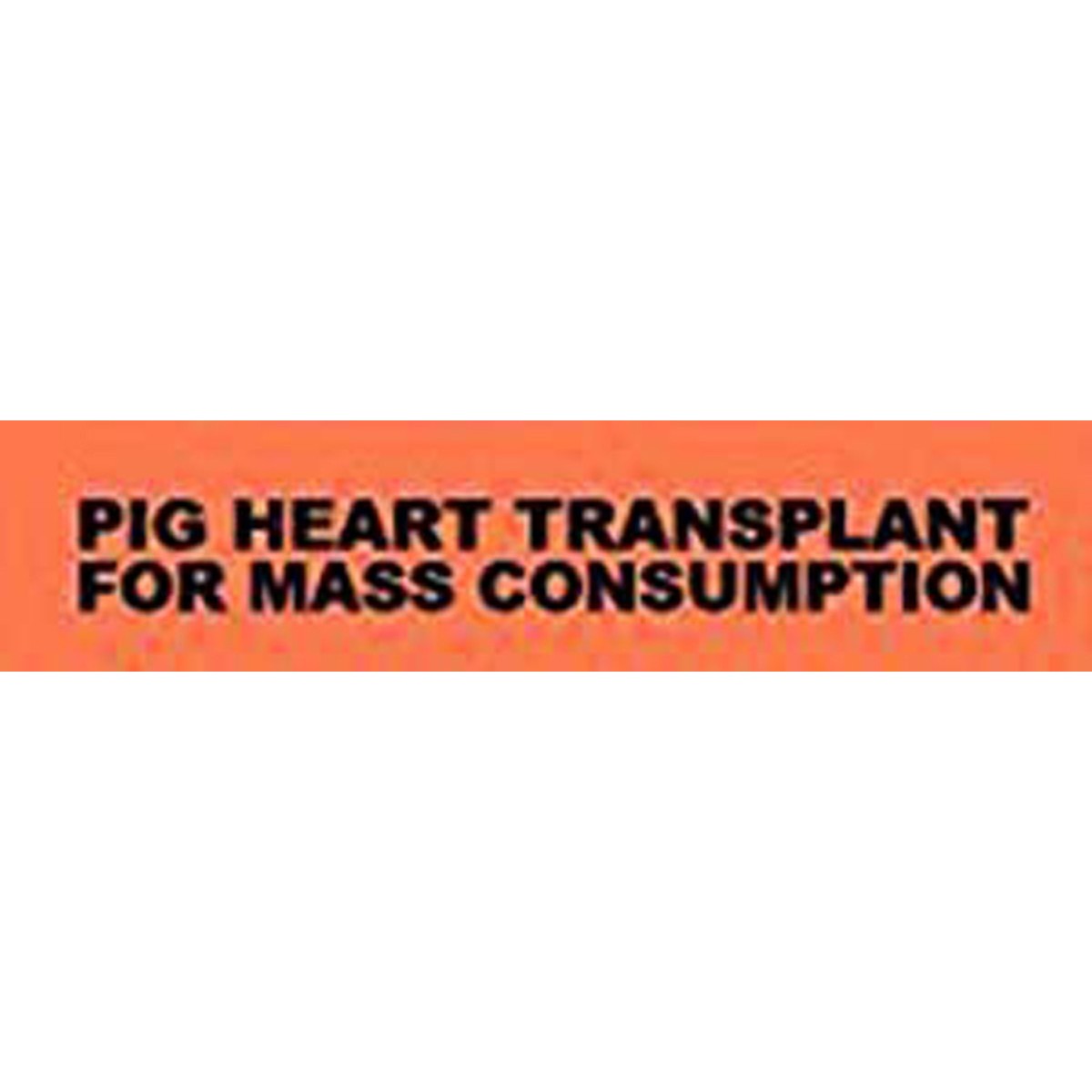 Pig Heart Transplant - For Mass Consumption