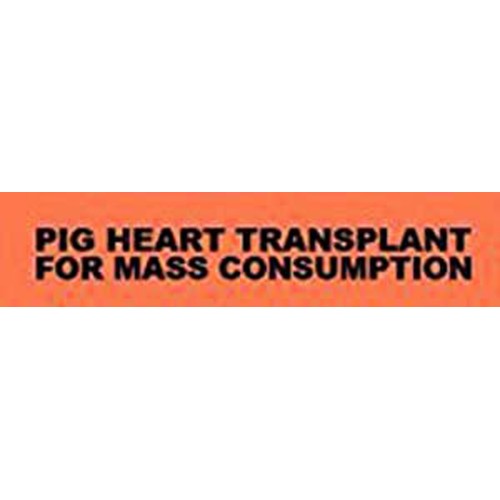 Pig Heart Transplant - For Mass Consumption