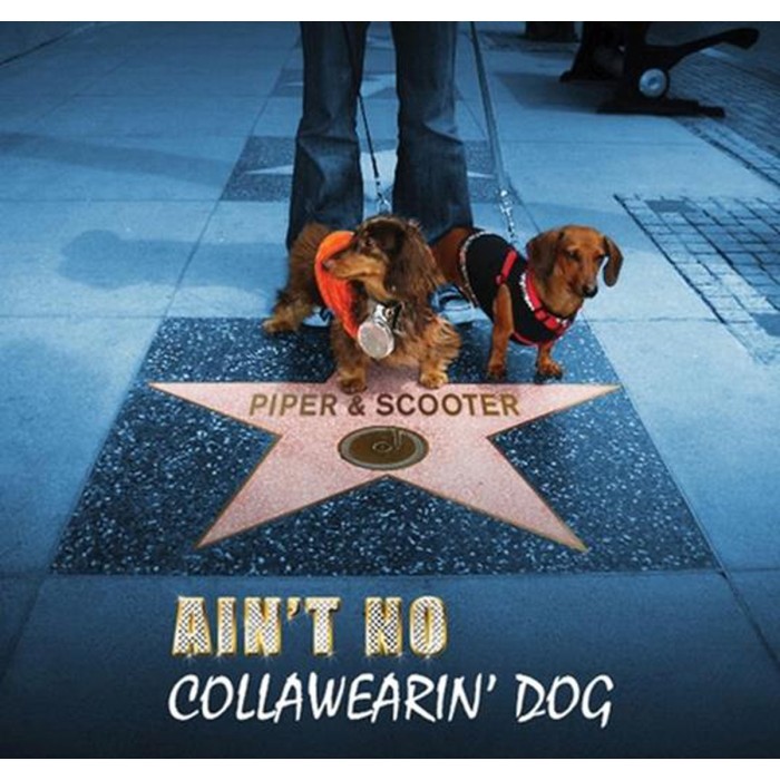Piper & Scooter - Ain't No Collawearin Dog