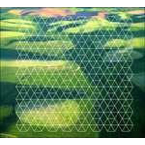 Henry Plotnick - Fields