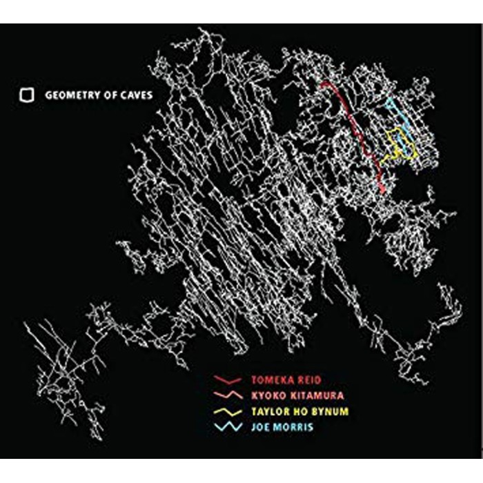 Tomeka Reid & Kyoko Kitamura & Taylor Ho Bynum & Joe Morris - Geometry Of Caves