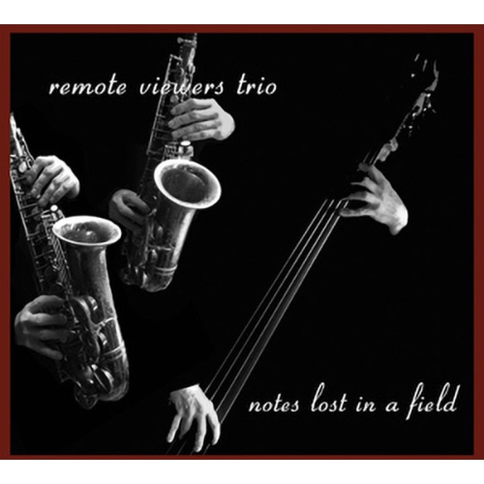 Remote Viewers Trio - Notes Lost In A Filed