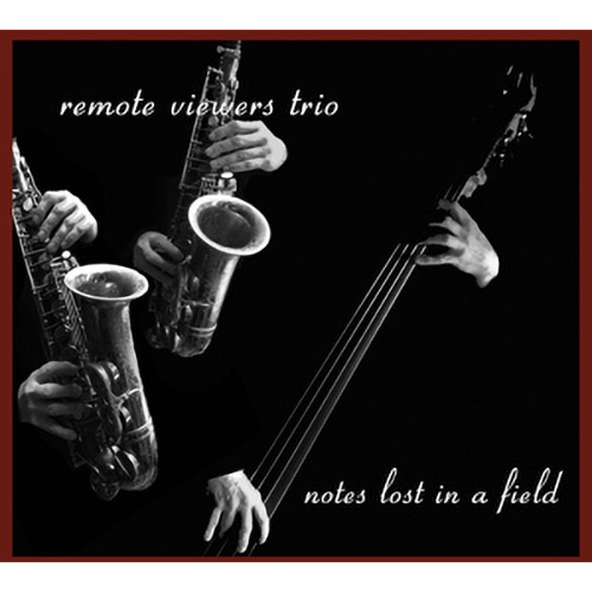 Remote Viewers Trio - Notes Lost In A Filed