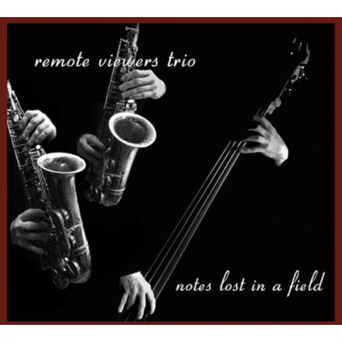 Remote Viewers Trio - Notes Lost In A Filed