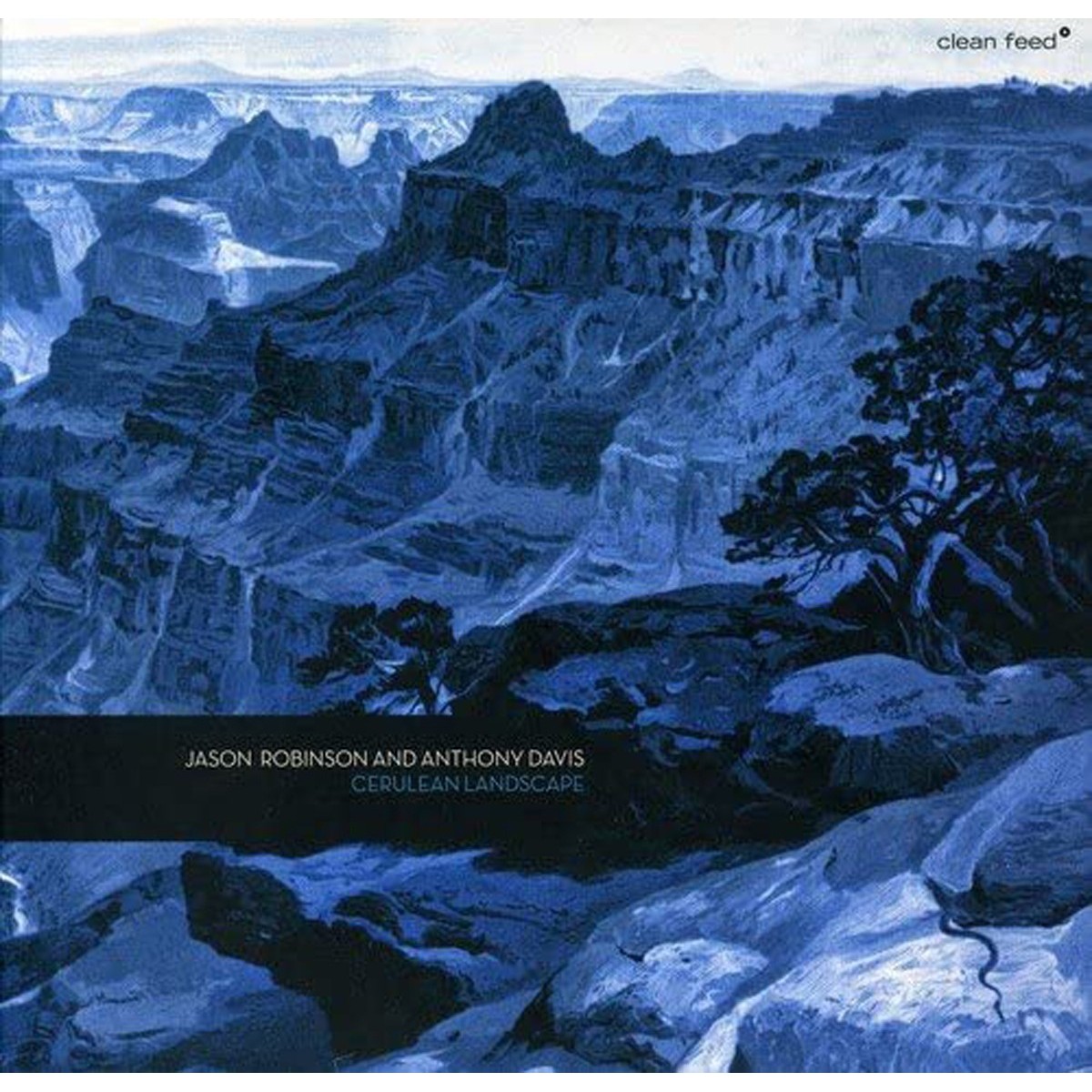Jason Robinson & Anthony Davis - Cerulean Landscape