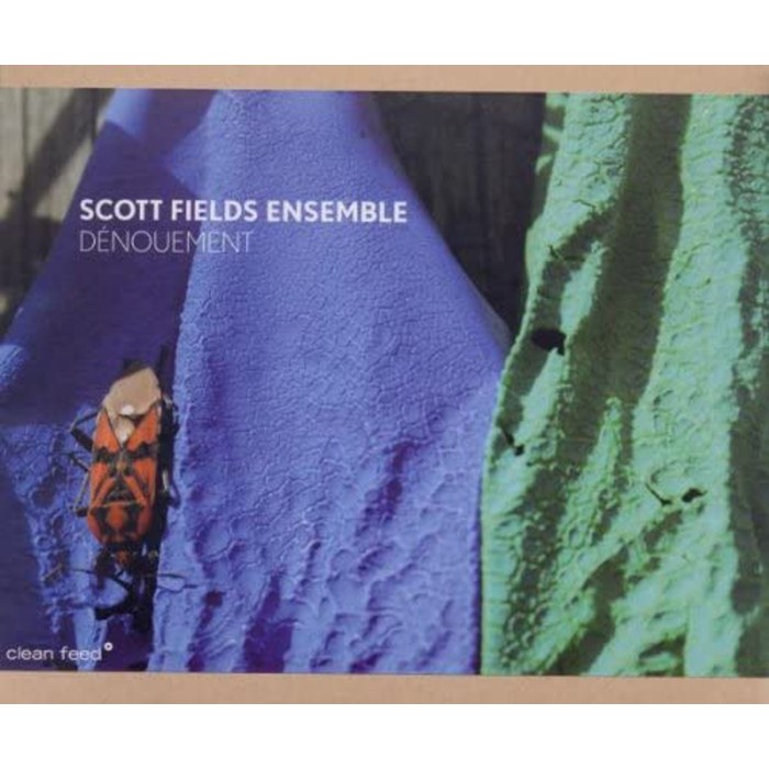 Scott Fields Ensemble - Dénouement