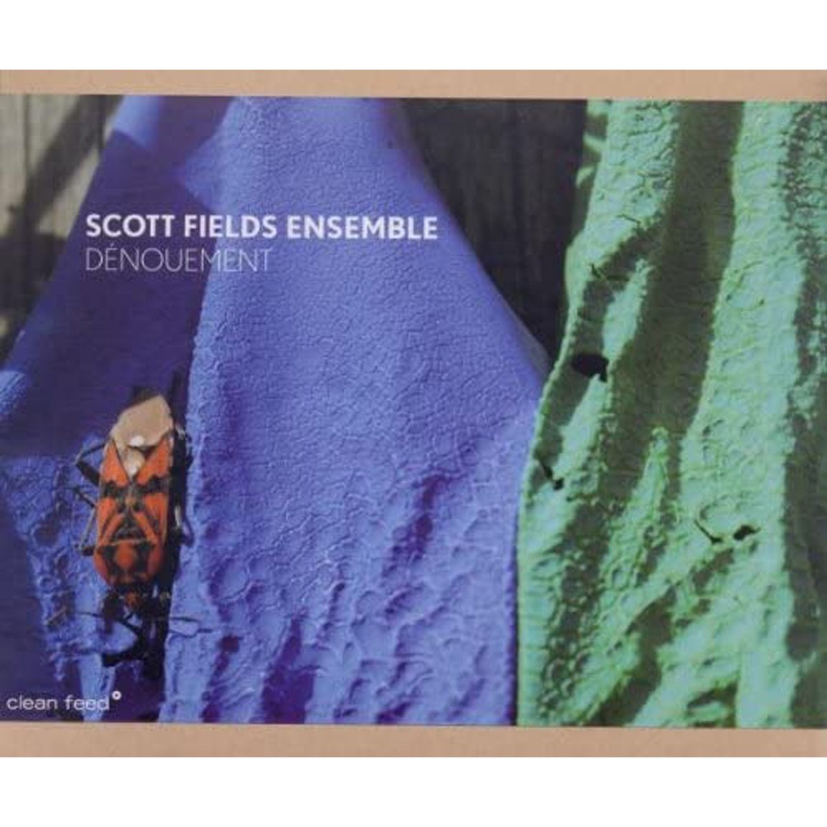 Scott Fields Ensemble - Dénouement