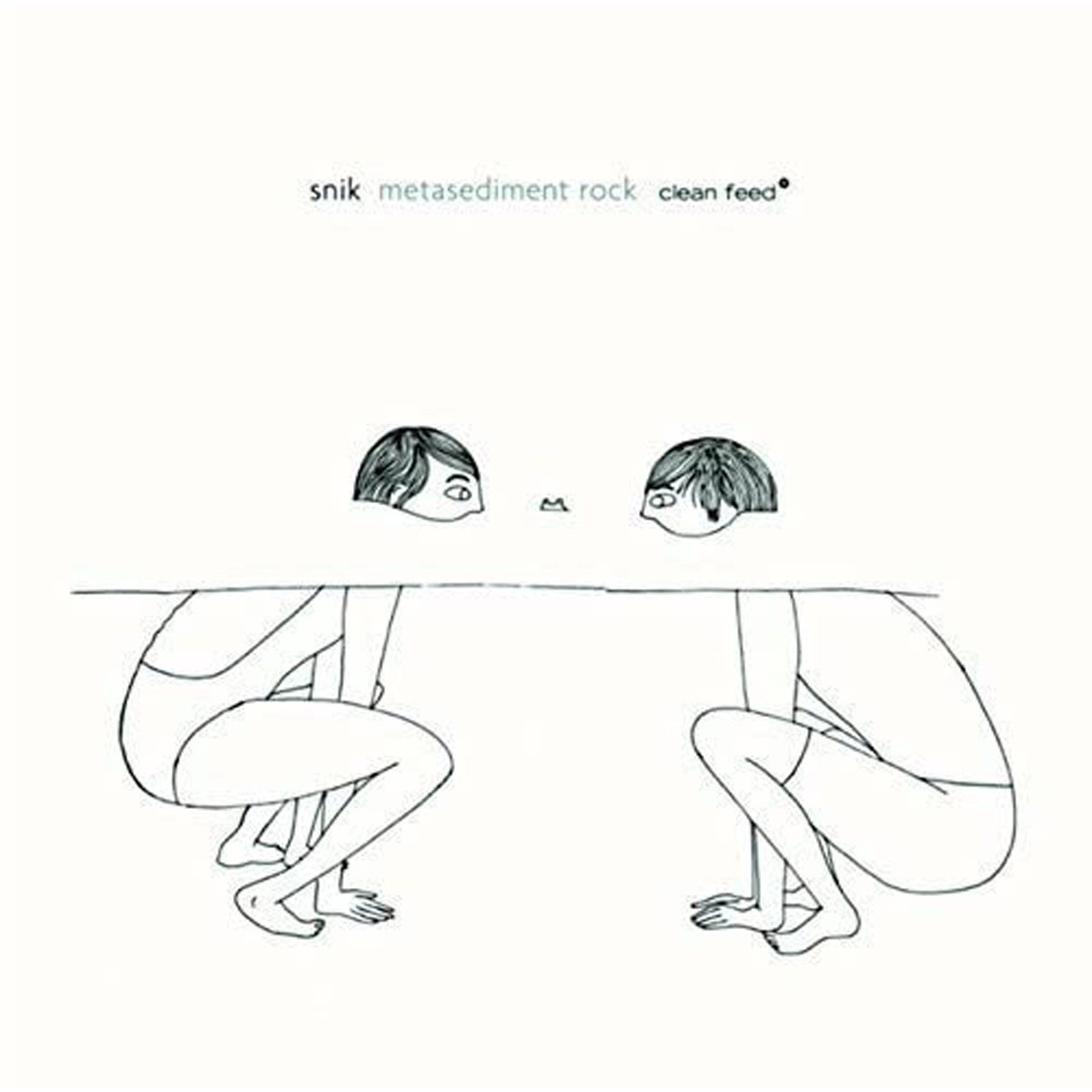 Snik - Metasediment Rock
