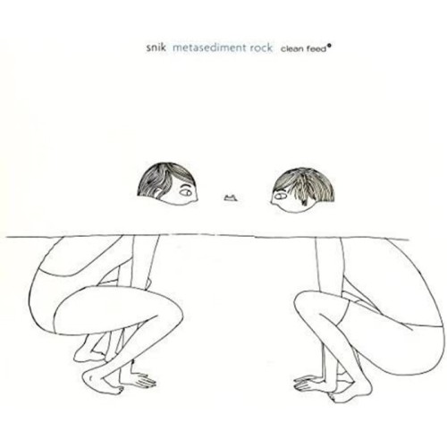 Snik - Metasediment Rock