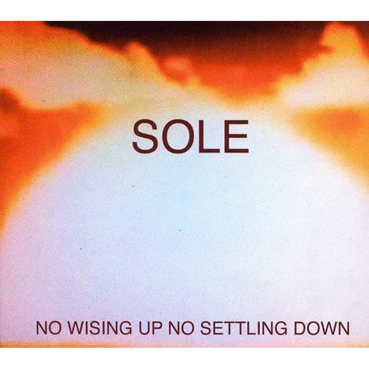 Sole - No Wising Up No Settling Down