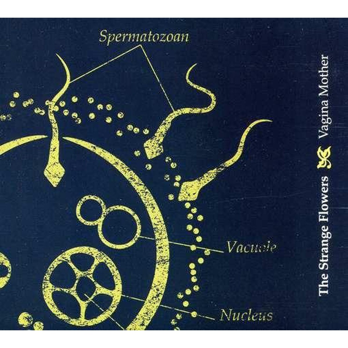 The Strange Flowers - Vagina Mother