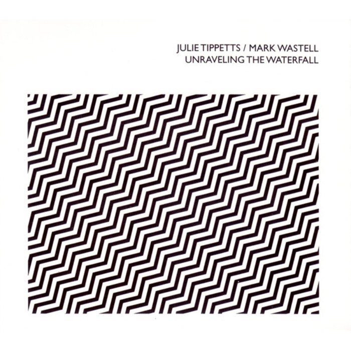 Julie Tippetts & Mark Wastell - Unraveling The Waterfall