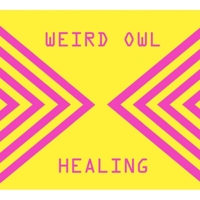 Weird Owl - Healing
