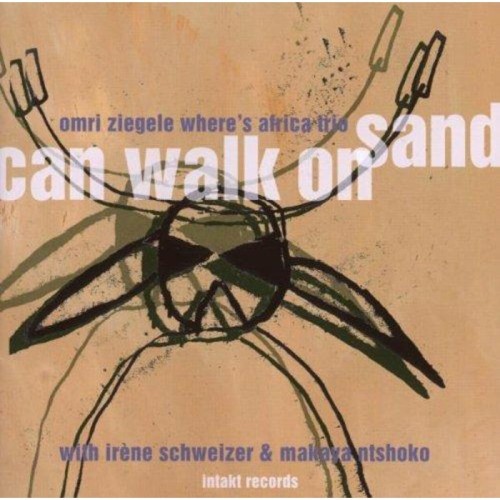 Omri Ziegele & Irene Schweizer - Can Walk On Sand