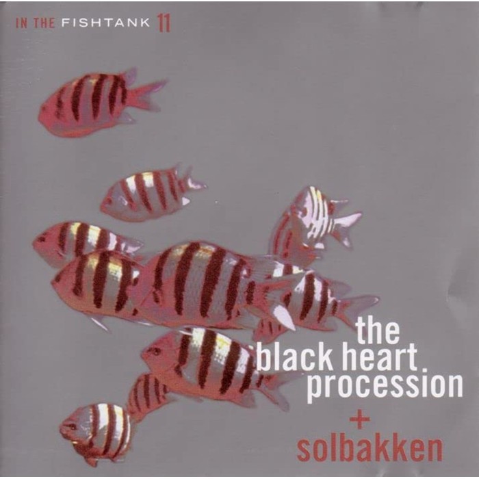 Black Heart Procession - In The Fishtank 11